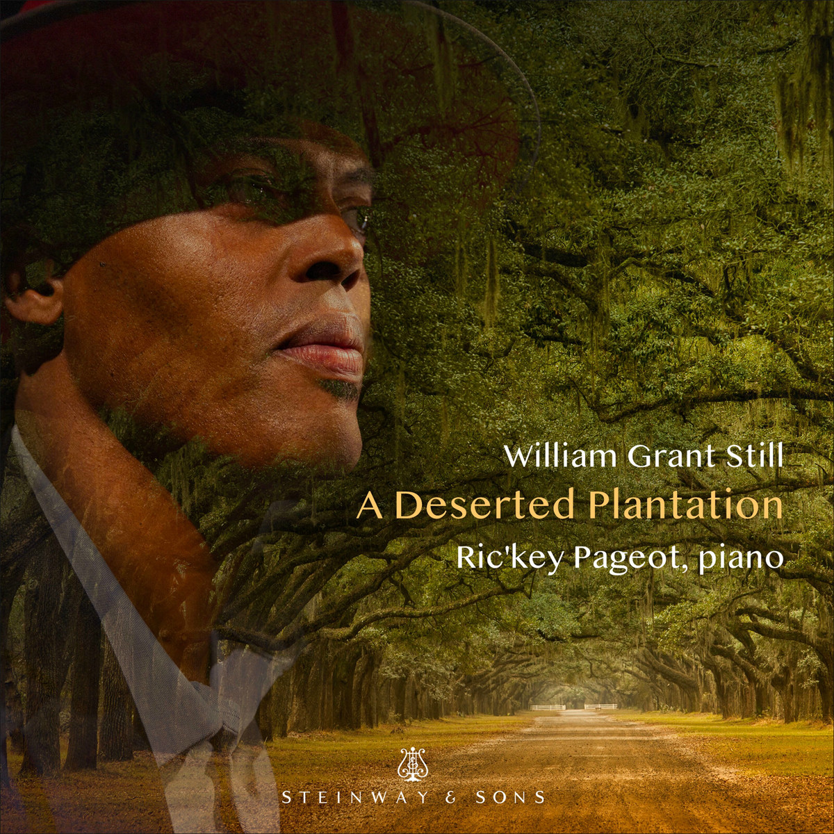 A Deserted Plantation